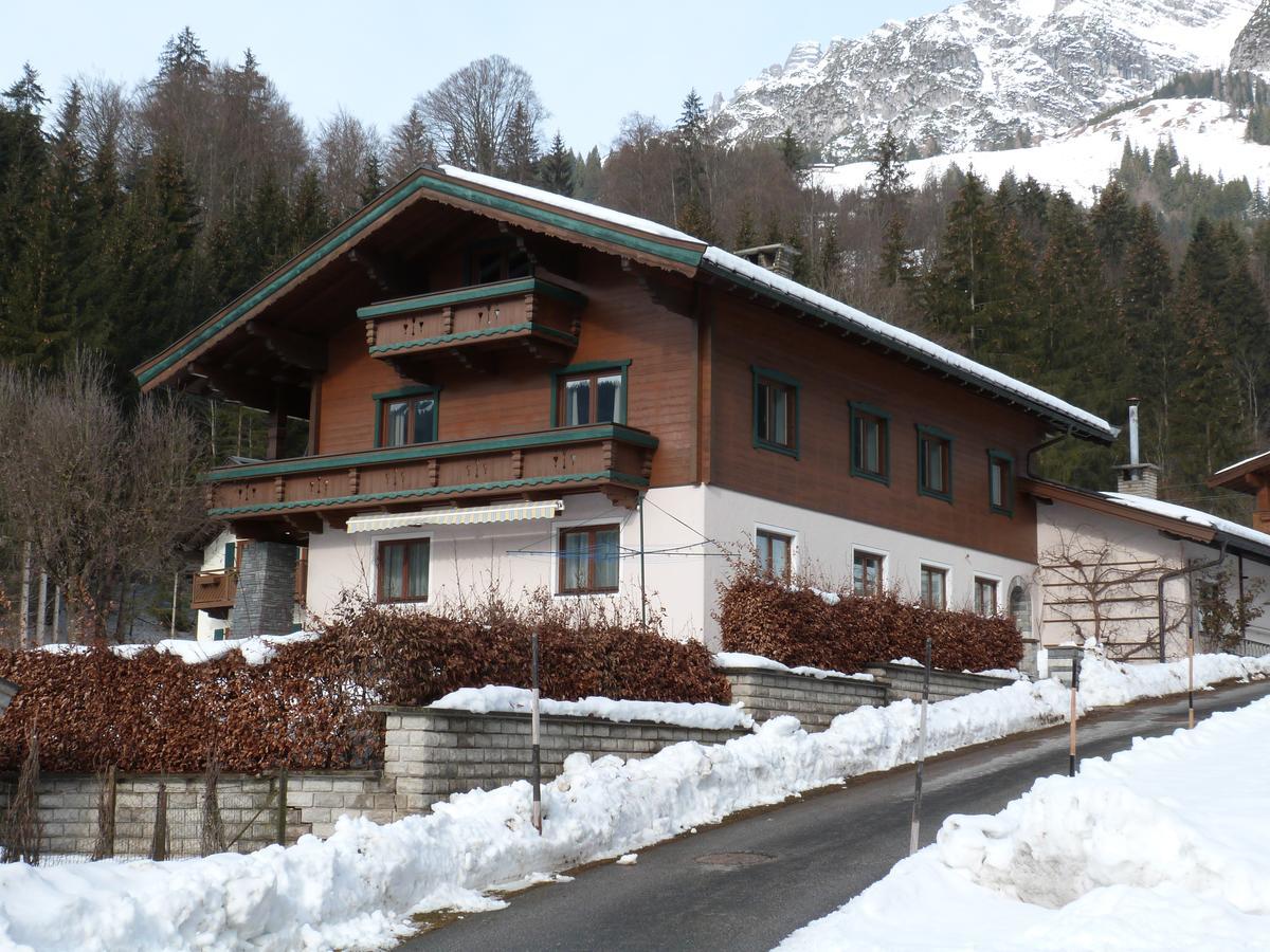Premium Chalet Andrea Leogang Buitenkant foto